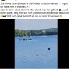 Möwe in Freiheit 02.07.2025