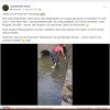 Feuerwehr Einsatz Rettung Entenfamilie DANKE