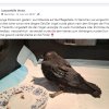 Update 24.06.2025