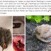 Danke Update 27.06.2025