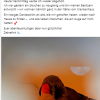 Update 05.11.