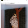 Update Notfälle 24.11.