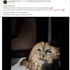 Update Notfälle 24.11.