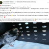 Update Notfälle 24.11.