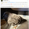 Update Notfälle 24.11.