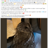 Update Notfälle 24.11.
