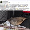 Update Notfälle 24.11.