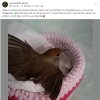 Notfälle update 17.10.