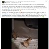 Notfälle update 17.10.