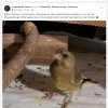 Update Notfälle 22-10.