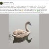 Notfälle update 17.10.