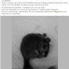 Notfälle update 17.10.