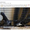 Notfälle update 17.10.
