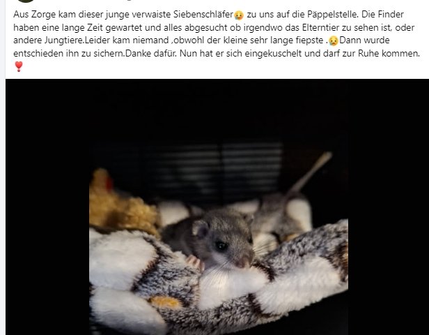 https://juesseehilfe.de/images/phocagallery/andere_einsaetze/2025/sep/thumbs/phoca_thumb_l_28.jpg