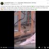 Update Notfälle 22.09.