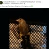 Update Notfälle 22.09.