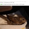 Update Notfälle 22.09.