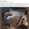 Update Notfälle 22.09.