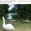Update Notfälle 22.09.