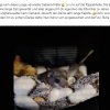 Update Notfälle 22.09.