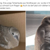 Update Notfälle 24.09.