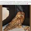 Update Notfälle 24.09.