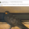 Update Notfälle 24.09.
