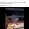 Update Notfälle 24.09.