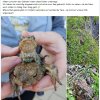 Notfälle Update 29.04.2026