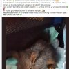 Notfälle Update 29.04.2026
