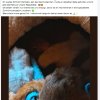 Notfälle Update 29.04.2026
