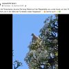 Notfälle Update 29.04.2026