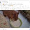 Update Notfälle 11.05.