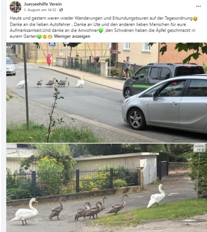 https://juesseehilfe.de/images/phocagallery/andere_einsaetze/2026/juli/thumbs/phoca_thumb_l_20.jpg