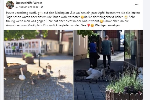 https://juesseehilfe.de/images/phocagallery/andere_einsaetze/2026/juli/thumbs/phoca_thumb_l_20.jpg