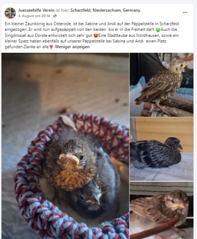 https://juesseehilfe.de/images/phocagallery/andere_einsaetze/2026/juli/thumbs/phoca_thumb_l_20.jpg