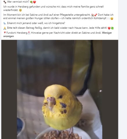 https://juesseehilfe.de/images/phocagallery/andere_einsaetze/2026/juli/thumbs/phoca_thumb_l_20.jpg
