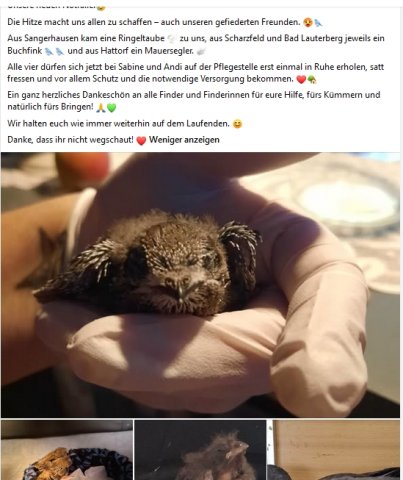 https://juesseehilfe.de/images/phocagallery/andere_einsaetze/2026/juli/thumbs/phoca_thumb_l_20.jpg