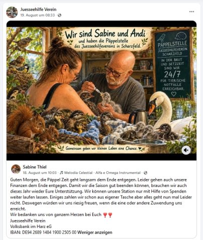 https://juesseehilfe.de/images/phocagallery/andere_einsaetze/2026/juli/thumbs/phoca_thumb_l_20.jpg