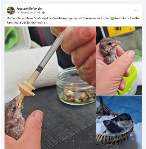 https://juesseehilfe.de/images/phocagallery/andere_einsaetze/2026/juli/thumbs/phoca_thumb_l_20.jpg