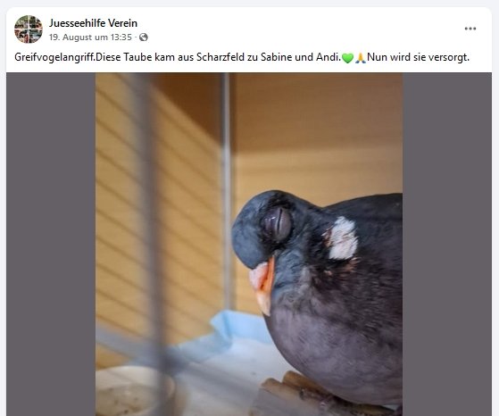 https://juesseehilfe.de/images/phocagallery/andere_einsaetze/2026/juli/thumbs/phoca_thumb_l_20.jpg
