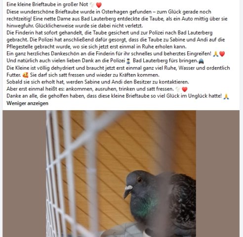 https://juesseehilfe.de/images/phocagallery/andere_einsaetze/2026/juli/thumbs/phoca_thumb_l_20.jpg