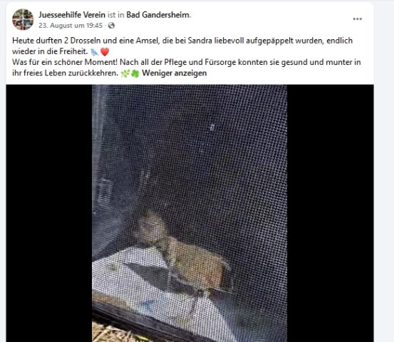 https://juesseehilfe.de/images/phocagallery/andere_einsaetze/2026/juli/thumbs/phoca_thumb_l_20.jpg