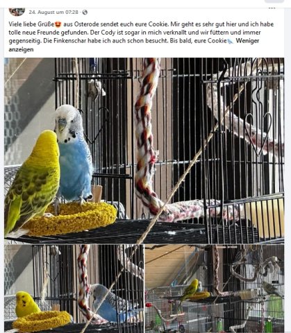 https://juesseehilfe.de/images/phocagallery/andere_einsaetze/2026/juli/thumbs/phoca_thumb_l_20.jpg
