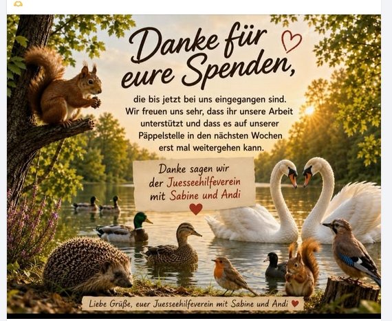 https://juesseehilfe.de/images/phocagallery/andere_einsaetze/2026/juli/thumbs/phoca_thumb_l_20.jpg