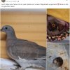 Update 06.08.2026 Notfälle