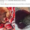 Update 06.08.2026 Notfälle