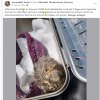 Update 06.08.2026 Notfälle