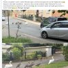 Update 06.08.2026 Notfälle