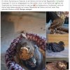 Update 06.08.2026 Notfälle